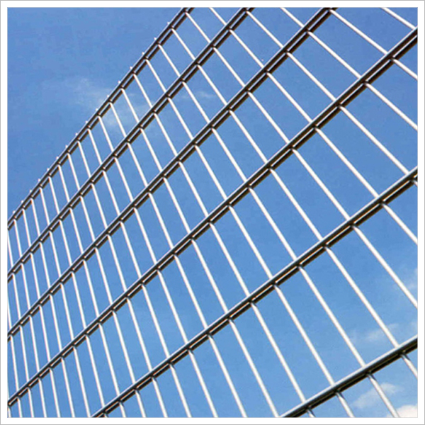 Double wire mesh fence