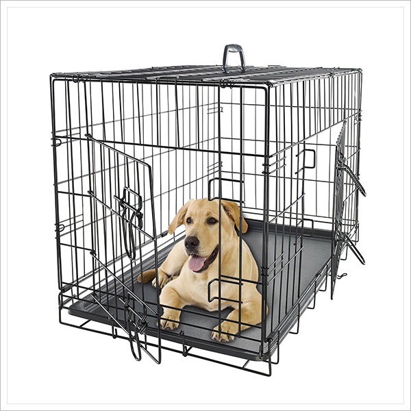dog cage